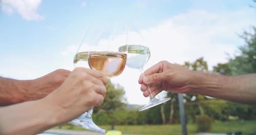 Friends Toasting with Wine Glasses Outside