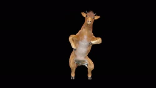 Funny 3D Goat Character Dancing Animation