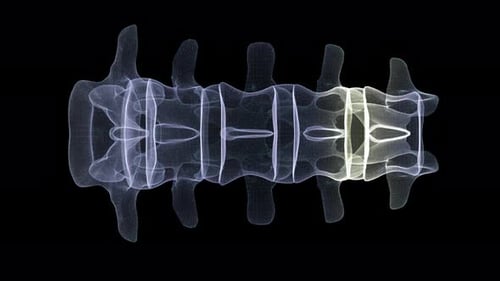 3D Human Lumbar Spine Scan Animation with Highlight