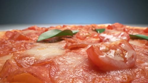 Pan Of Delicious Pizza With Tomatoes
