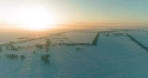 Aerial Drone View of Cold Winter Landscape with Arctic Field, Trees Covered with Frost Snow and