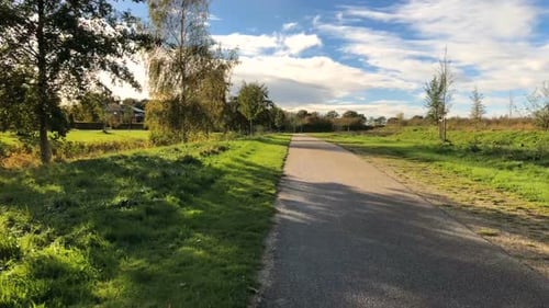 Walk along the alley of the park on a sunny day