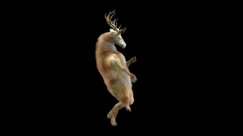 3D Animated Deer Dancing on Two Legs with Alpha Channel