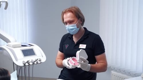 Dentist Explains Procedure Using Teeth Model