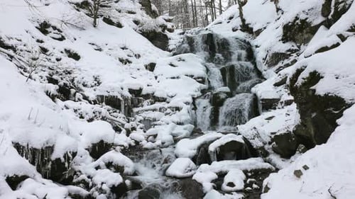 Small Streams of Cold Water Flow Among the Stones Covered with Snow