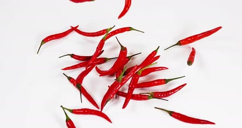 Red Chili Peppers Falling onto White Background