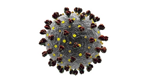3D Animated Microscopic Virus Particle Rotating Alpha Channel