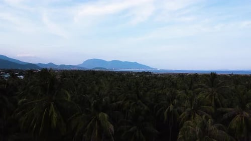 Aerial tropical jungle rainforest landscape Cam Ranh coastline vietnam with scenic mountains seascap