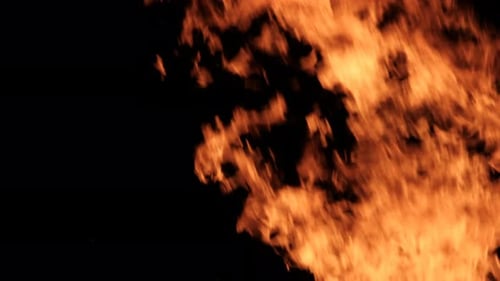 Fire Flames on a Black Background Bonfire Burning at Night