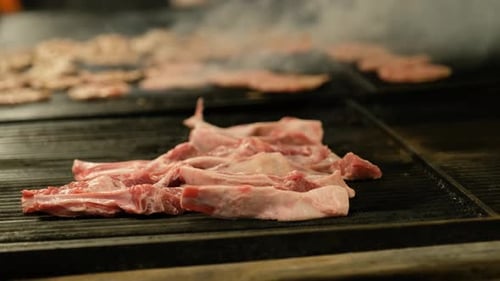 Cooking Cow Meatball Food on a Barbecue Wood Fire