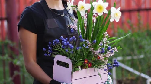 Premières fleurs printanières