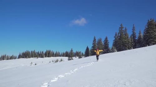 Hiker Walks Through a Snowy Winter Landscape