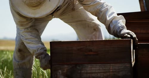 Beekeeper Tending to Beehives on a Sunny Day