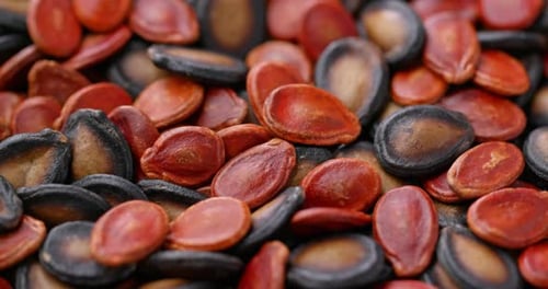 Stack of mix melon and sunflower seed for lunar new year