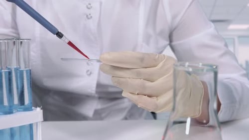 Close-up of Gloved Hands. Micropipette Blood Test and Microscope Slide