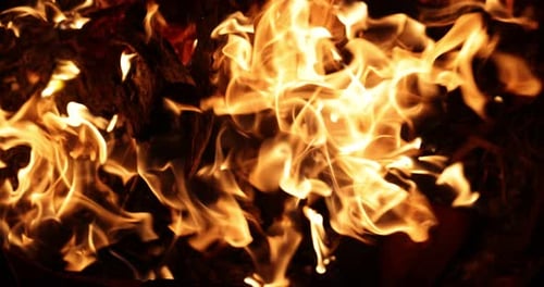 Bonfire Fire Real Flames Ignited On A Black Background