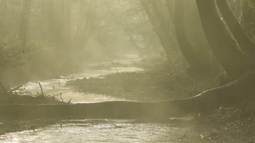 River 4K