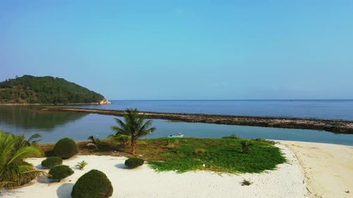 Peaceful resort garden with tropical plants on white sandy beach washed by calm turquoise lagoon pro