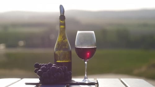 Ein Glas Rotwein