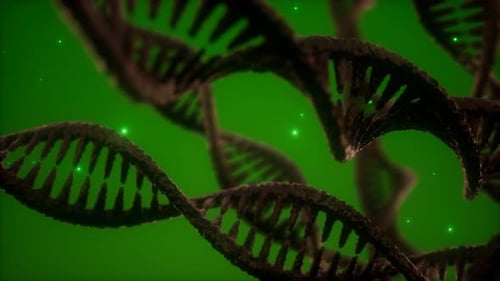 Dynamic DNA Double Helix Rotating Background Loop