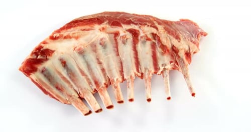 Raw beef ribs on white background
