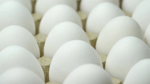 White chicken eggs. Chicken eggs in the container