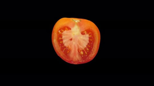 Rebanada realista de tomate rojo que gira con canal alfa