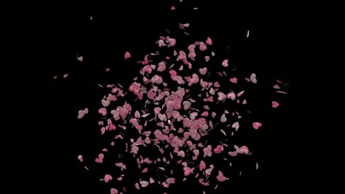Romantic Pink Heart Confetti Burst Overlay