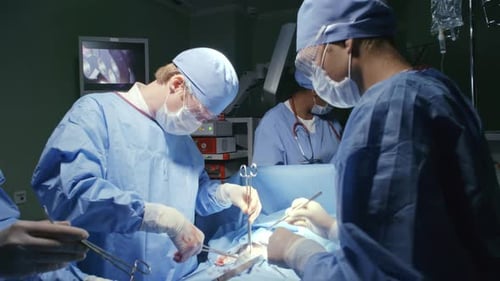 Professionals Performing Surgical Procedure