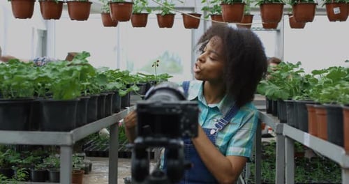 Gardener Presenting Plant To Camera