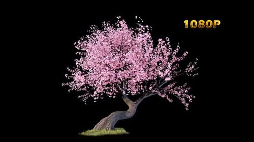 Animated Cherry Blossom Tree with Falling Petals