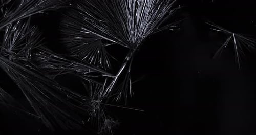 Crystal