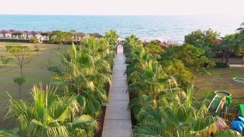 Palmengasse, die zum Meer führt, Luftaufnahme.