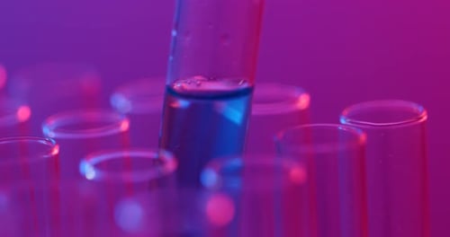 Placing Test Tube into Rack in Lit Lab