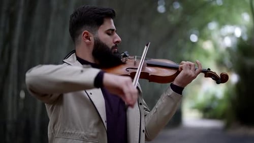 Classical Musical Concert in Garden Violinist is Playing Melody Outdoors