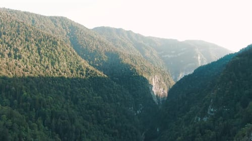 Eine atemberaubende Passage in der Schlucht der Berge zwischen den mächtigen, überwucherten Klippen