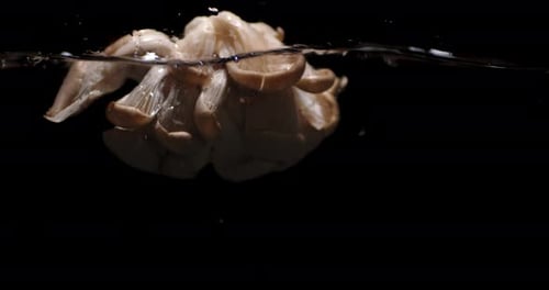 A Bunch of Mushrooms Falls Into the Water with Splashes.
