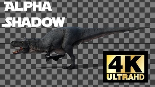 Dinosaur Tyrannosaurus Walk And Roar Loop With Alpha And Shadow Side View