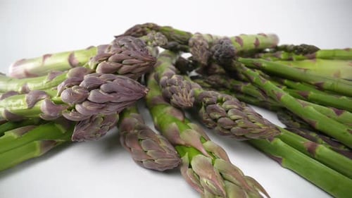Asparagus 08