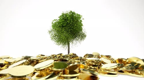 Tree Growing from Gold Coins - Financial Growth Concept