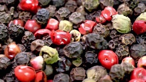 Colorful Gourmet Peppercorns in Macro Close-Up