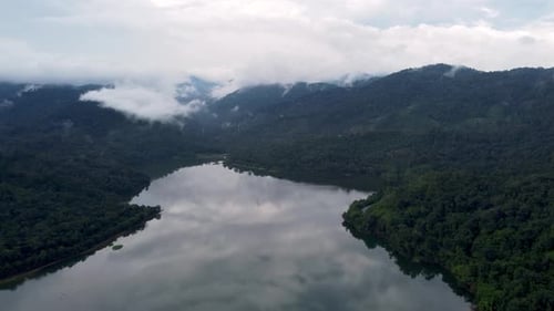Aerial view green forest near the lake