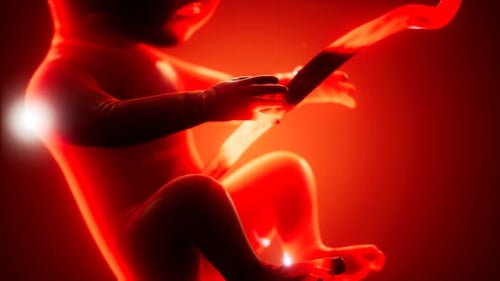 Animation médicale 3D d'un foetus humain