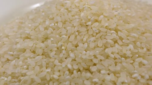 Grains of Raw Rice Rotate Close-up