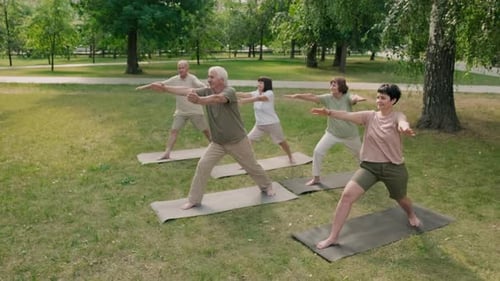 Group Doing Yoga in the Park