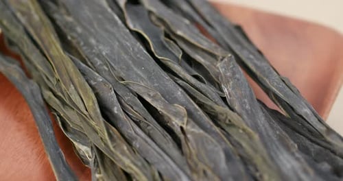 Pile of Konbu