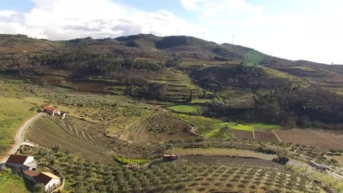 Voe acima do Olive Field