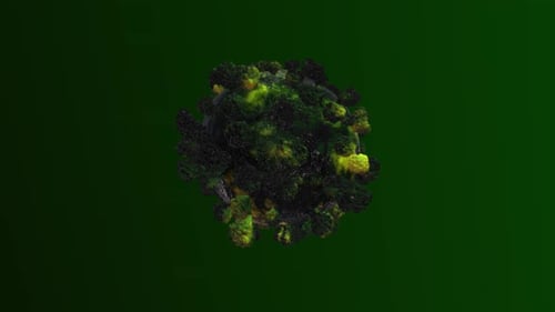 4K Corona Virus Covid 19 V3 Green