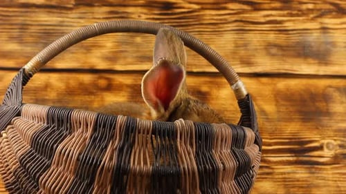 Brown Rabbit Sitting in Basket on Wooden Surface