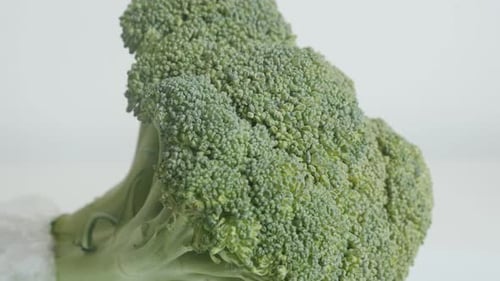 Green Brassica oleracea broccoli floret 4K close-up footage